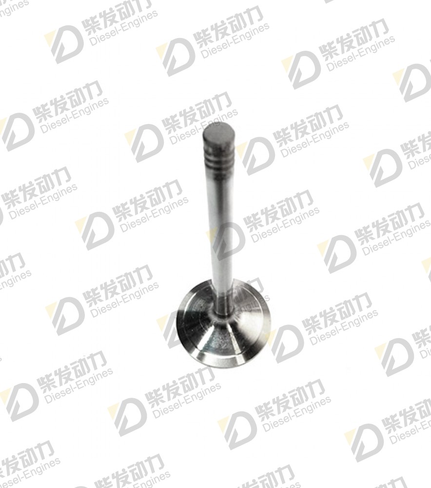 Inlet valve, intake 20758481 